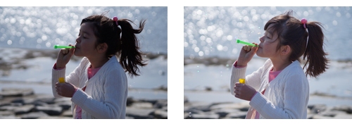 Оптимизатор DRO