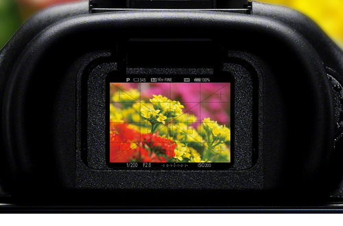 Видоискатель