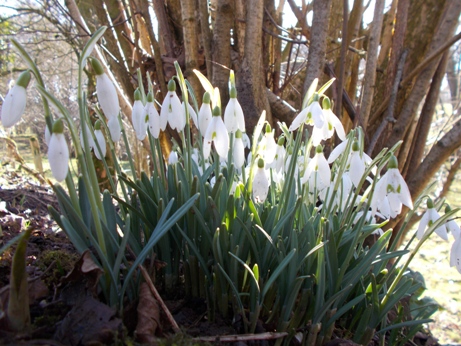 ОБразец фотографии