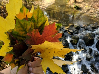 Образец фотографии 1