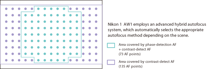 Точки автофокуса