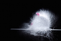 ОБразец фотографии