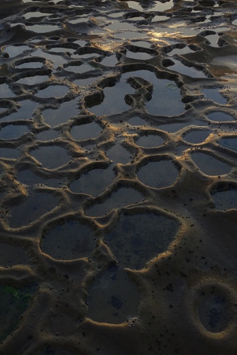 Образец фотографии 2