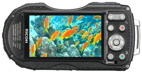 ЖК дисплей WG-4